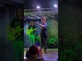 Billie jean band cover concert subscribe like viral shorts youtube music musicians follow