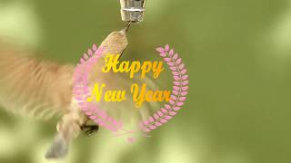 Greetings & Best Wishes For New Year 2019