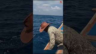 Catching Needle Fish in the Sea