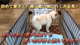 【第13話　飼い犬初心者が伝える愛犬と行くお買い物事情】
