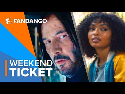 In Theaters Now: John Wick: Chapter 3, A Dog's Journey, The Sun Is Also a Star | Weekend Ticket