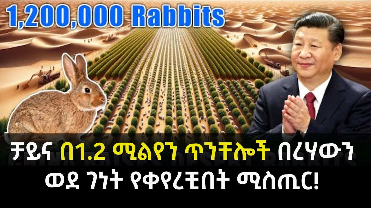ቻይኖች በሚልየን ጥንቸሎች የሰሩት ተአምር!│Kubuqi በረሃን ምድረ ገነት አደረጉት!│