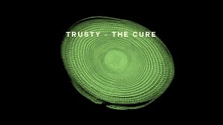 Trusty - The cure