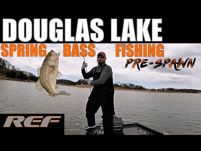 DOUGLAS LAKE: Spring Pre Spawn Bass Fishing 