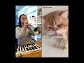The kiffness x numnum cat live looping balkan remix
