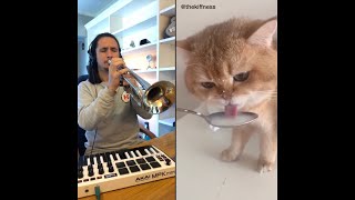 Vignette de la vidéo "The Kiffness X NumNum Cat (Live Looping Balkan Remix)"