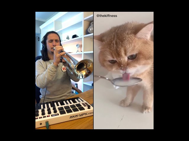 The Kiffness X NumNum Cat (Live Looping Balkan Remix) class=