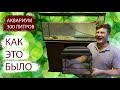 Купил аквариум на 300 литров для черепах | VLOG