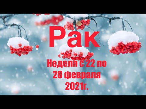 Video: Horoskop 16. Februára