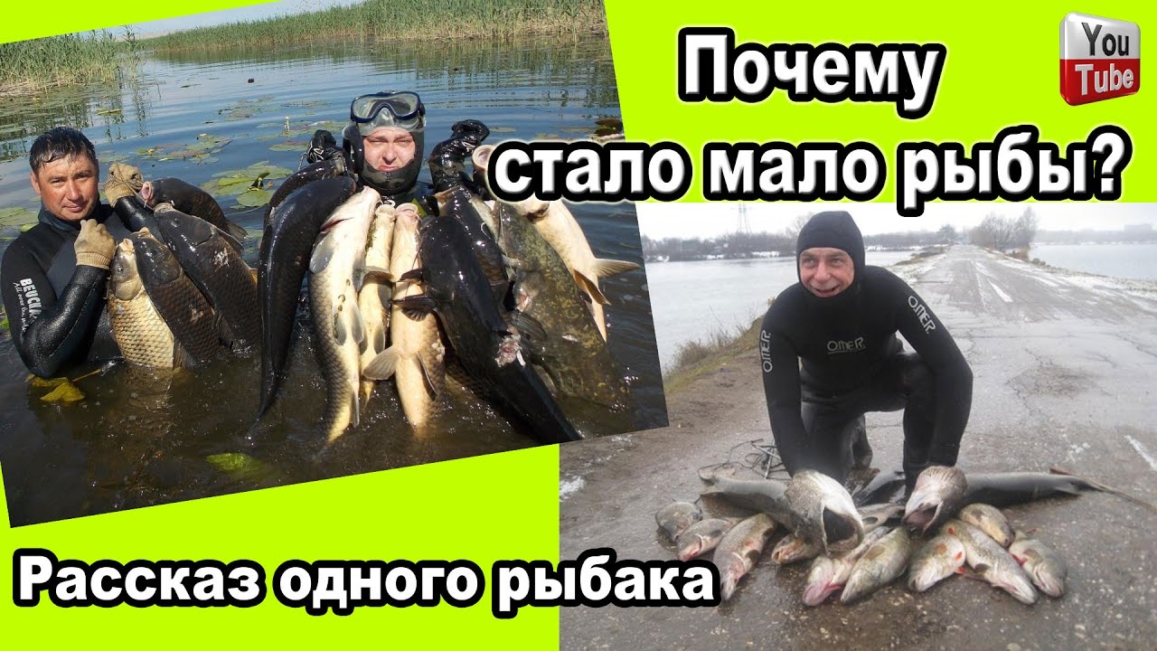 Рыбалка на реке Руза: какая рыба встречается на этом водоеме?