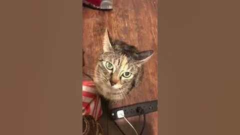 Wait for it...