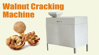 Efficient Walnut Cracking Machine: 300-350kg/h | Perfect Walnut Shelling Process!