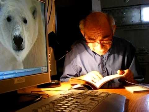 Яркая бабочка села на скромный цветок