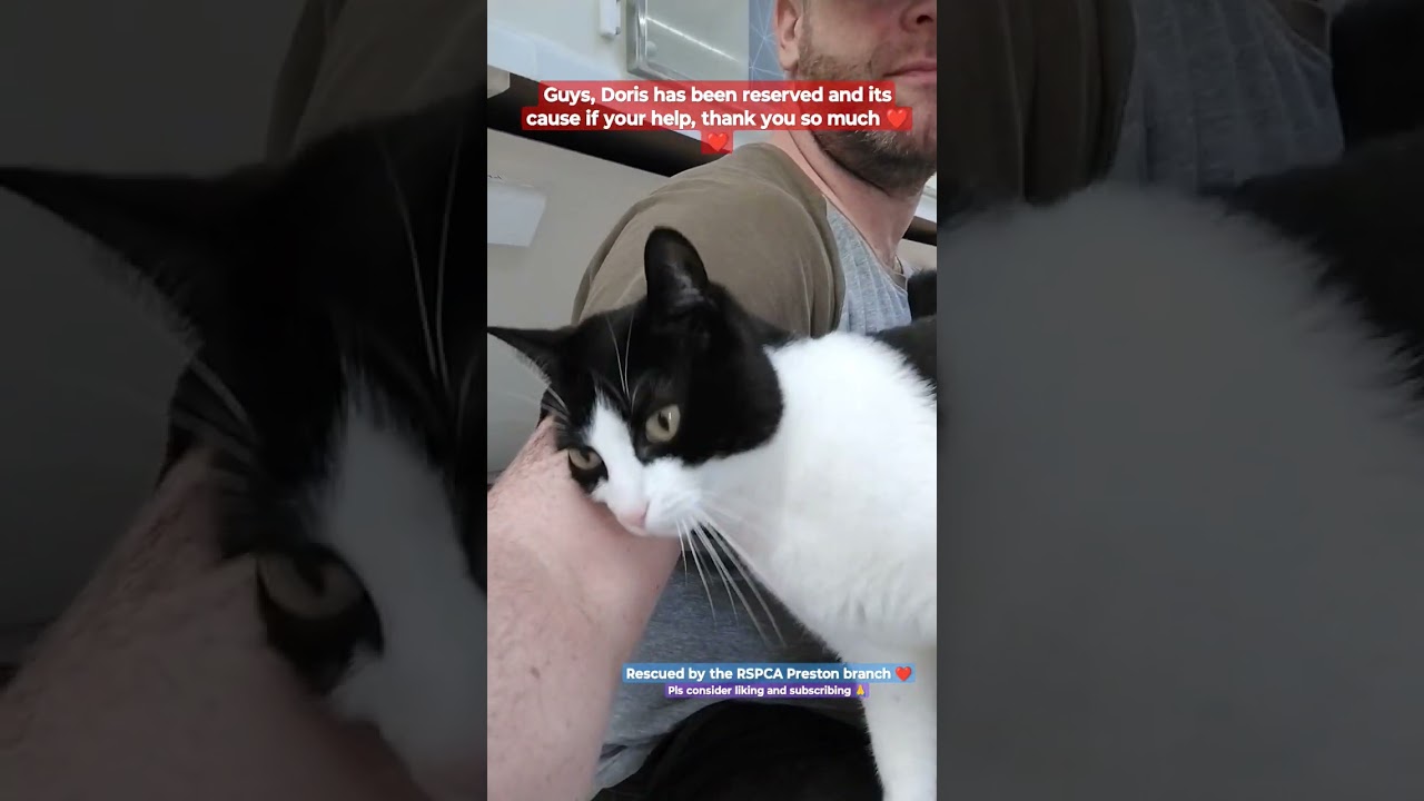 Doris has been reserved ♥️♥️ ------- 