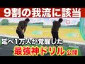 【神ドリル改】ゴルフスイング作りはこれだけで完成します。効率特化型練習なのでこればかりやってください。