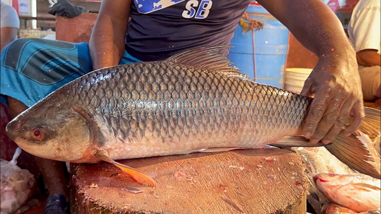 Amazing Cutting Skills  Fastest Big Rohu Fish Cutting By Expert
