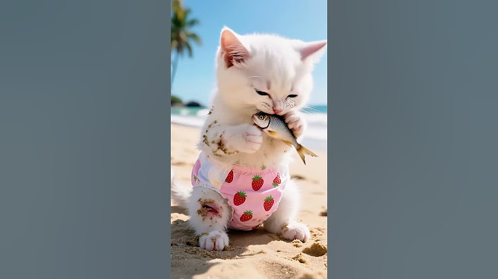 💔🔥✈️ His Dad Gave Him the Only Parachute  #cat