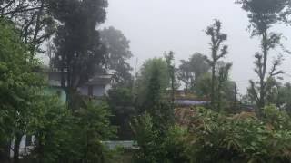 IMG 0617