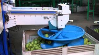 DRY BINFILLER - DOUBLE HEAD.wmv