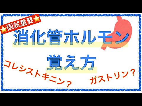 教科書をわかりやすく！「消化管ホルモンの覚え方」