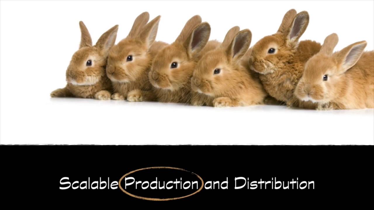 7 Uses of Leverage to Create Wealth in Real Estate