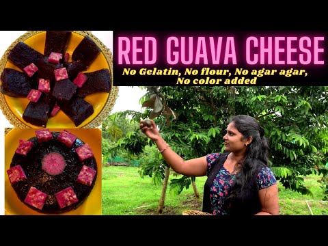 Guava cheese recipe | Goan Perad | Malaysian Guava | Beetroot Guava | Red Guava | Guava halwa/jelly