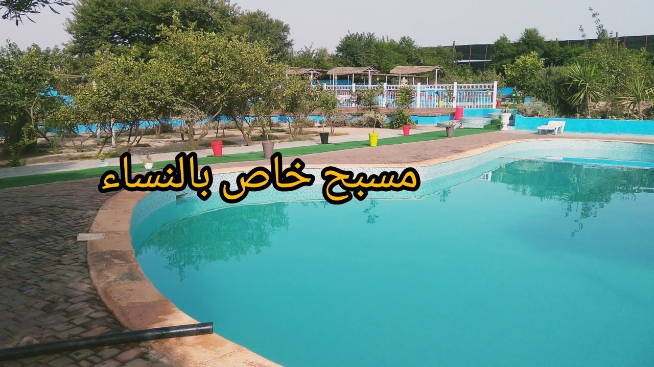 لعشاق السباحة🏊‍♀️ يوم كامل في مسبح خاص بالنساء 100% .