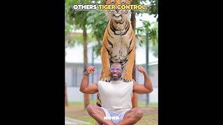 Others Tiger Control Vs The Last One..