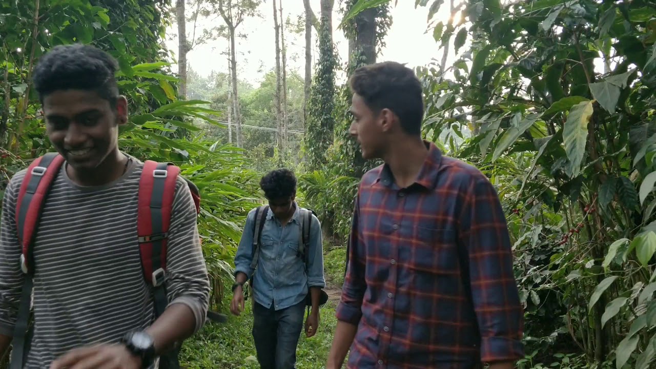 The Life from nature|| 