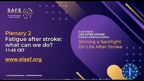Webinar: Fatigue after stroke - What can we do?