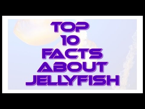 Top 10 Facts