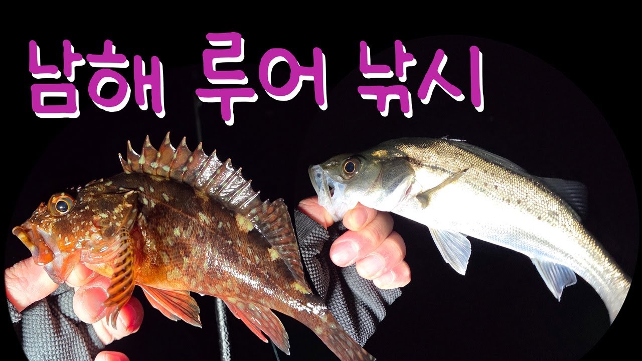 남해 루어낚시 쏨뱅이,농어,볼락들이 다 반겨주네요 🐟Namhae County Breakwater luer fishing ...