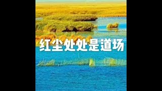 201801 红尘处处是道场23034