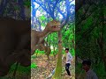 ￼yaar Tera Hero khalnayak ho gaya/ tree se bahar nikalne Wala #funny #viral #trending #ytshorts #vfx
