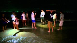 Thai-American & Thai-European Youth Heritage Program 2015/2558 @ Ao Manao beach (4K UHD) Thai-American & Thai-European Youth Heritage Program 2015/2558 @ Ao Manao beach (4K UHD)
