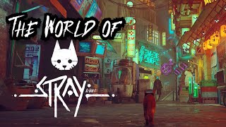 The World of Stray Explained | A post Apocalyptic world