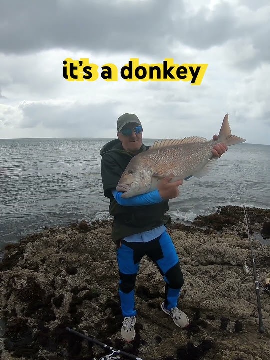 #fishing #lifeisbutadream #snapper