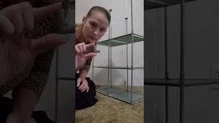#dollartree 6-cube storage rack Net Worth