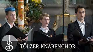 Johann Bach | Unser Leben ist ein Schatten  Tölzer Knabenchor