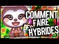 Tuto acnl comment faire des hybrides dans animal crossing new leaf 