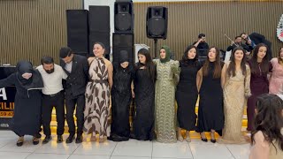 Şeğmuse Erbani Halay Cida Kızıltepe Düğünü 2026