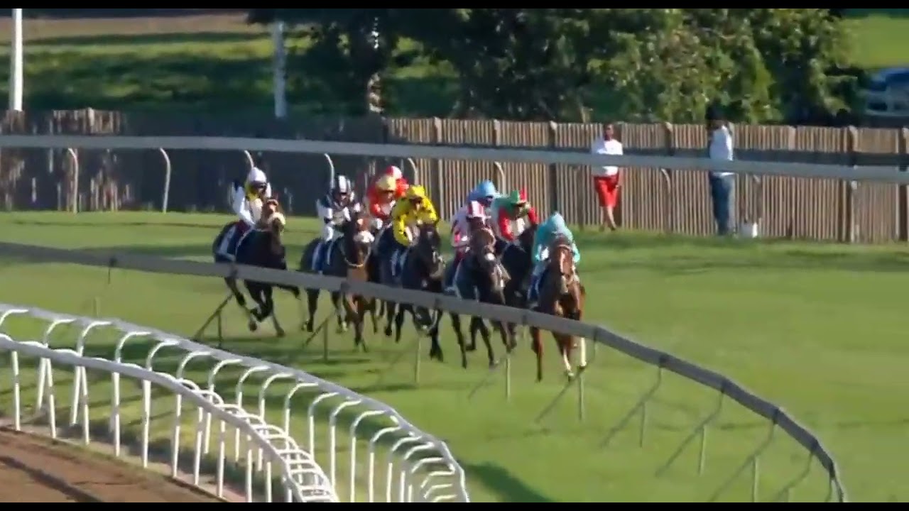 SAFE PASSAGE 2022 DAILY NEWS 2000 Gr1 HollywoodbetsGreville YouTube