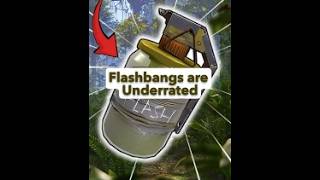 Flashbangs are Underrated in #rust