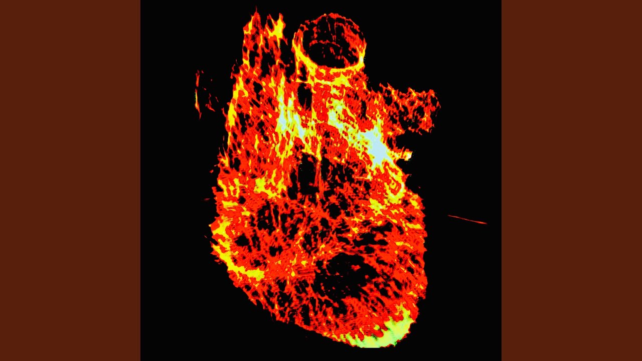 ancestral (extended)