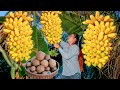 Yummy recipes banana dessert, pork ribs grill, Pick sapodilla fruit and collect streblus asper fruit