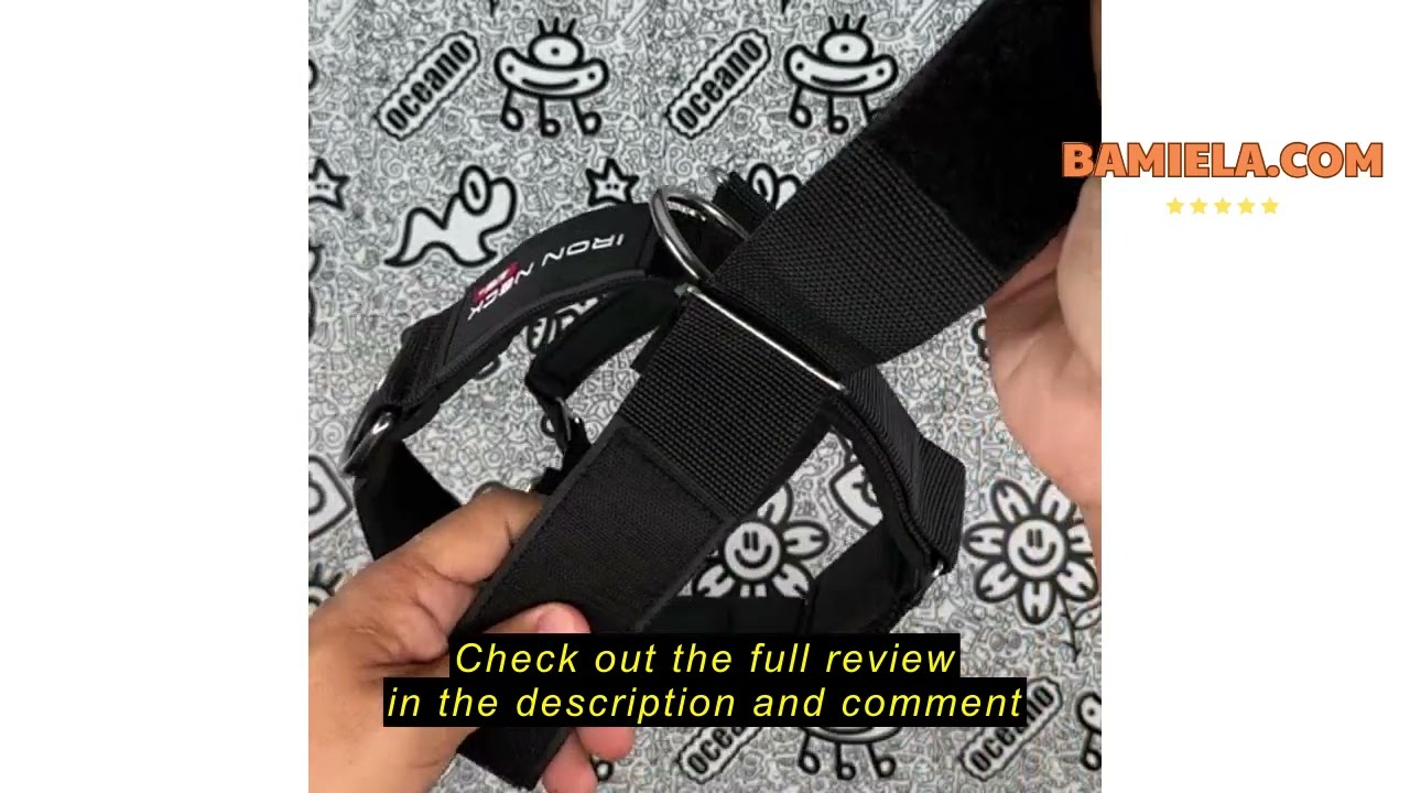 Review Iron Neck Alpha Harness Plus