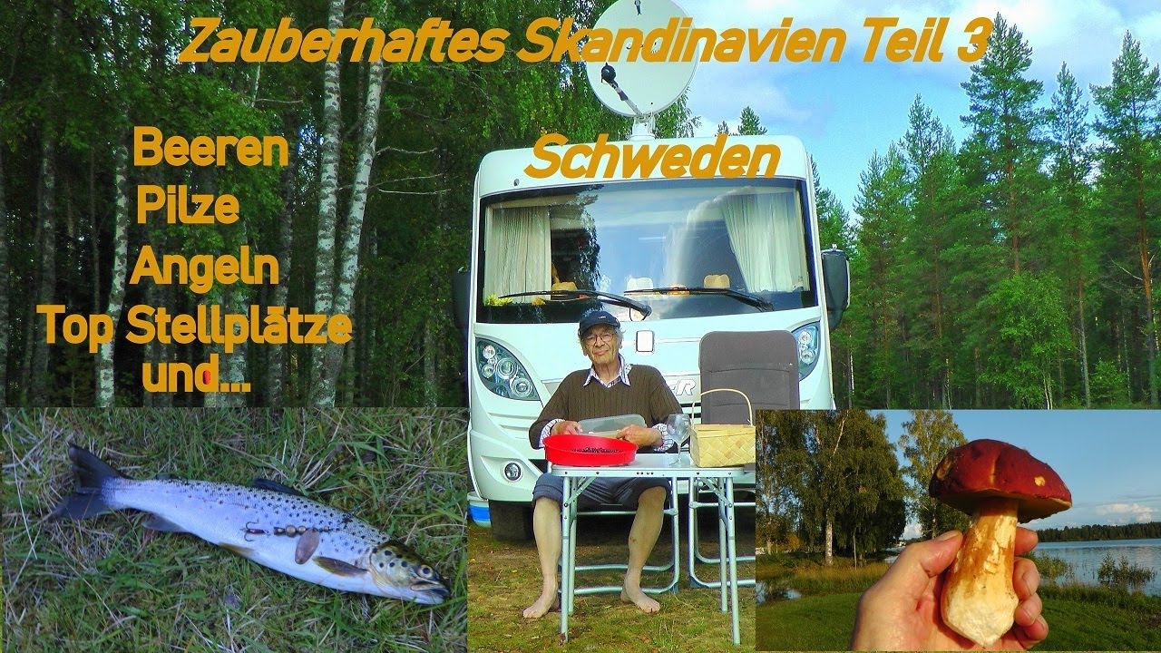 Mit dem Wohnmobil im zauberhaften Skandinavien -Teil 3: Pilze, Beeren, Angeln in Schweden und...