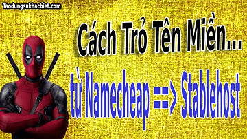 Cách Trỏ Tên Miền Từ Namecheap Sang Stable Host