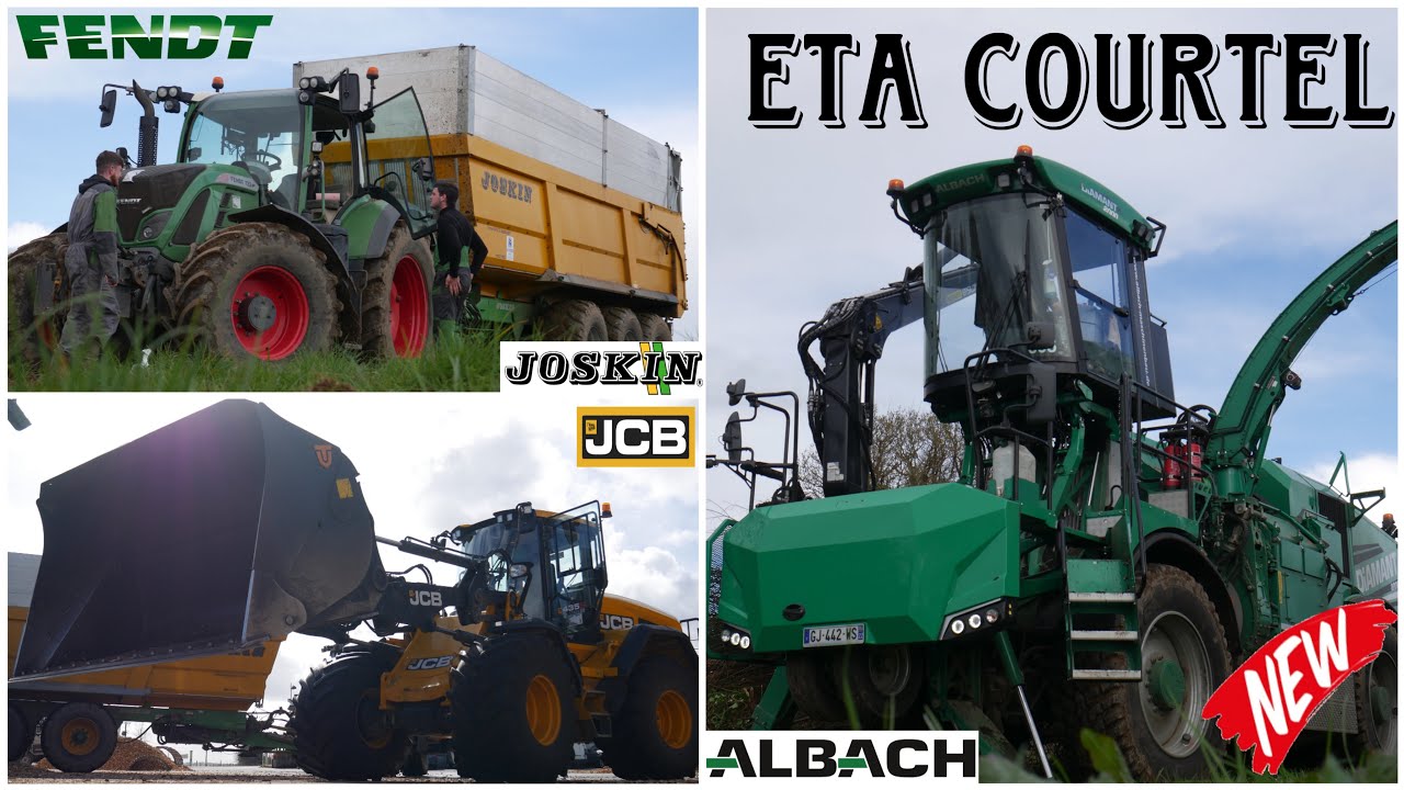 🤠BROYAGE DE BOIS🪵🌳| ETA COURTEL |