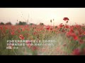 等候神音樂 Wait Upon God Soaking Music 2022 Episode 5